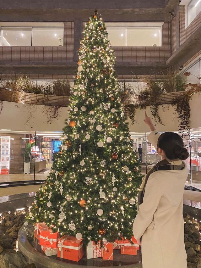 이보다 더 클 순 없는 대형 트리 카페 인크커피🎄 | 트립닷컴 서울 이보다 더 클 순 없는 대형 트리 카페 인크커피🎄 | 트립닷컴 서울 
