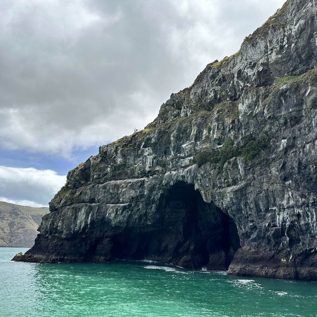 NZ 阿卡羅阿 法國小鎮
