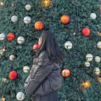 커다란 크리스마스 트리와 함께 행복한 연말을 🎄