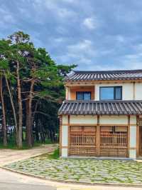 강릉 초당순두부마을 여행코스 ! 감성골목편✨