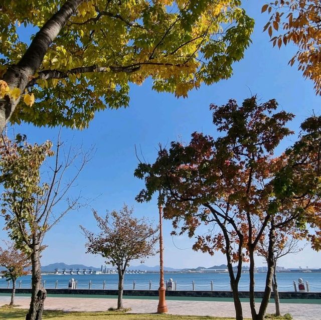 Fall in Pyeongwha Square