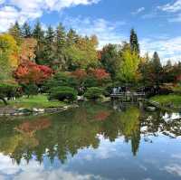 Washington Park arboretum 