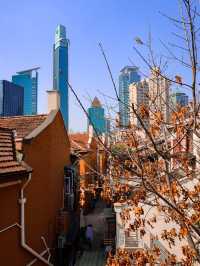 Jing’an Skyline along North Shaanxi Road🍁