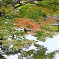 日本三大名園之～岡山後樂園