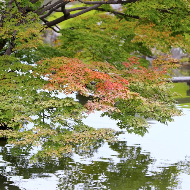 日本三大名園之～岡山後樂園