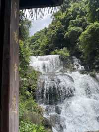 Thousand Waterfalls Floating Strings "Gentleman Orchid"