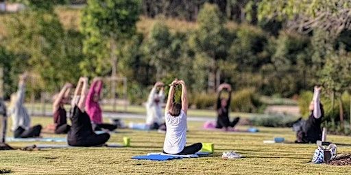 Yoga in Nature - Historic Rivermill | Historic Rivermill, Beaudesert Nerang Road, Mount Nathan QLD, Australia