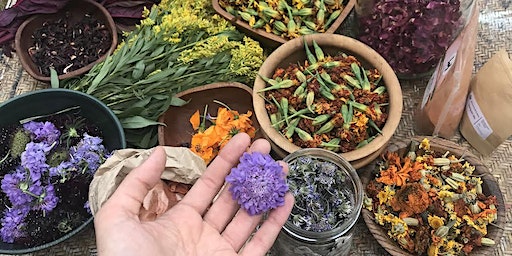 Cultivating a Natural Dye Practice | 1255 Wold Rd