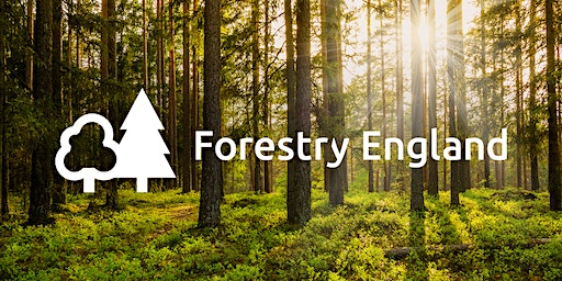 Forestry England - Dimmingsdale and the wider Churnet Valley (~4.5 miles) | Ramblers Retreat