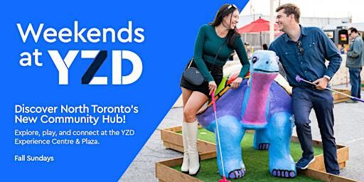 Toronto Comic Arts Festival (Intergalactic Bestiaries) | YZD