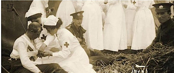 The Flowers in the Field | The Museum of The Queen’s Royal Hussars