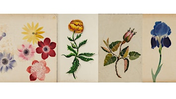 School Holiday Activity: Flower Power | The Green Room, Norfolk Record Office