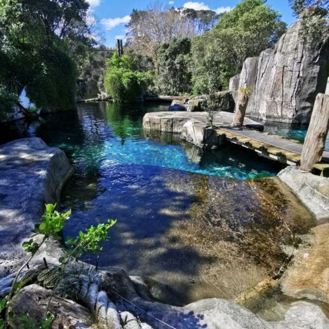 Auckland Zoo