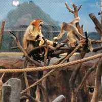 海洋公園動物show