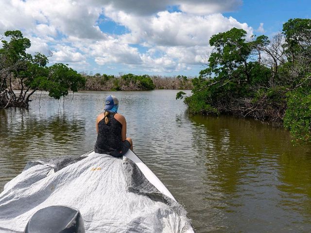 Conservancy of Southwest Florida