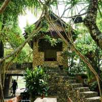 Waroeng Pohon At Jogja