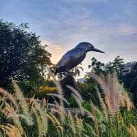Kingfisher Wetland at Gardens By the Bay