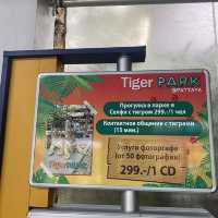 호랑이 들의 쉼터 🐯Tiger Park ! 🐅