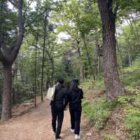 [부산] 좋은 공기마시며 가볍게 산책할 수 있는 곳🎋