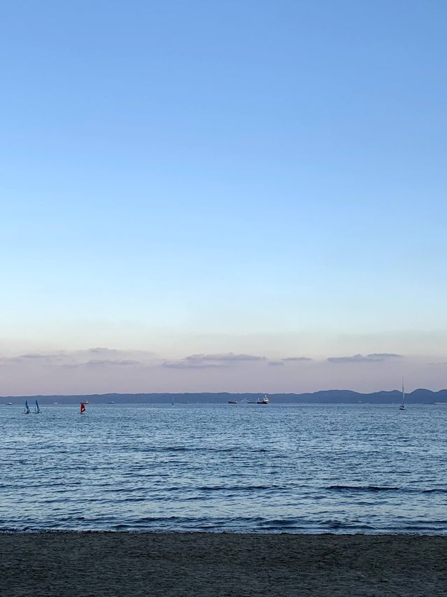 바다와 파도가 아름다운 영일대 해수욕장 🌊 