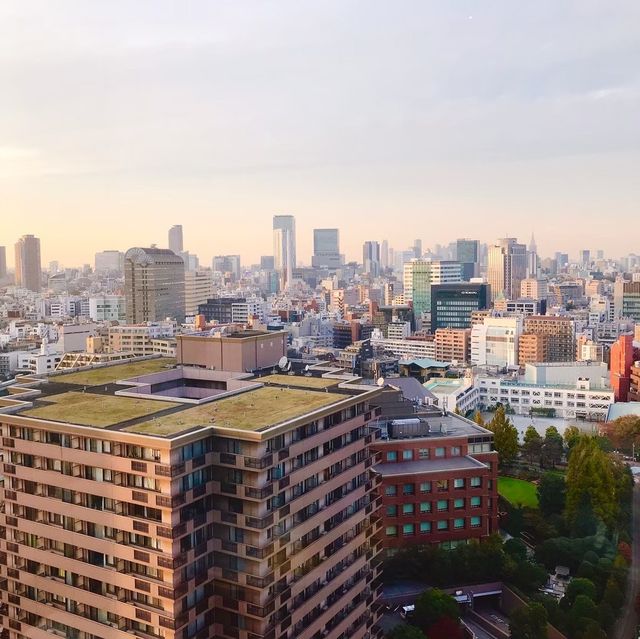 ウェスティンホテル東京外観や景色