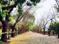 馬灣公園