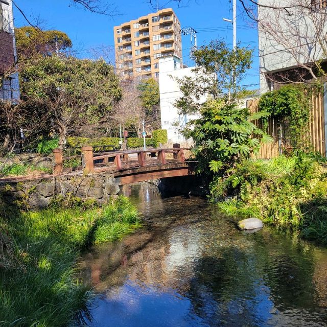 【三島】源平川