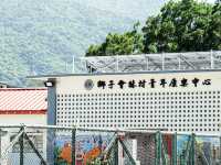 祈福靚境 林村許願樹