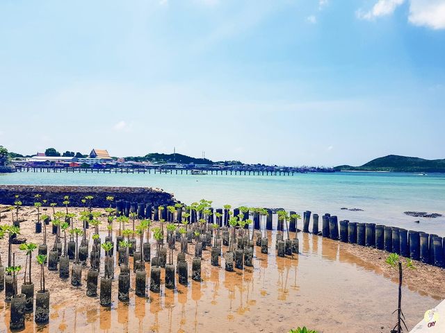 เกาะแสมสาร สัตหีบ 🌊