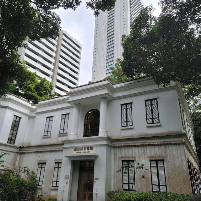 香港的城市綠洲🏕🏖