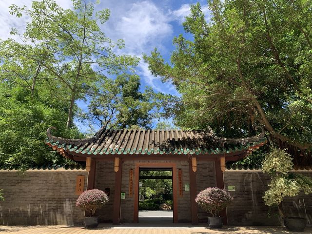 本地遊 ｜ 荔枝角公園 ｜賞花 ｜ 小百日草