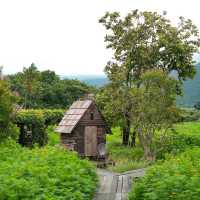 [ลพบุรี] กะเพรา&Coffee ถ่ายรูปที่สวนดอกไม้