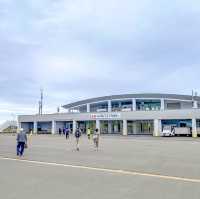 夏季限定・新千歳から利尻島への飛行