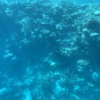 Jewelled sea - natural wonder downunder