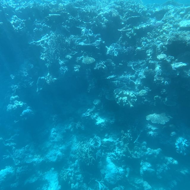 Jewelled sea - natural wonder downunder