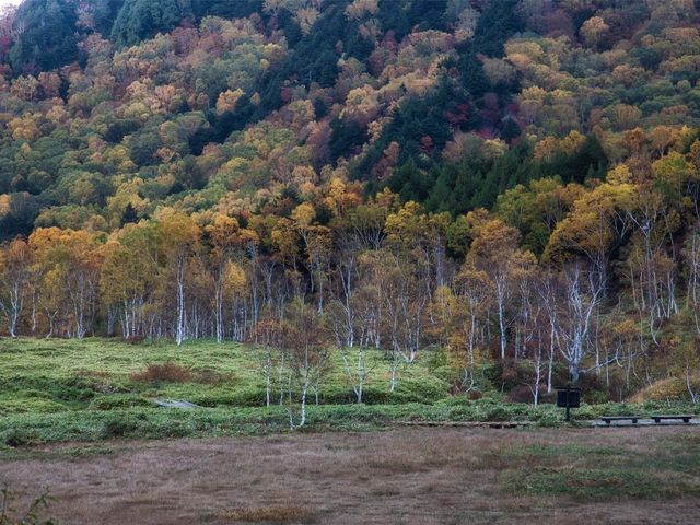 【長野】まるで海外のような絶景の紅葉！長野県志賀高原ののぞきをご紹介