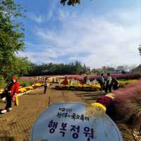 익산은 지금 축제가 한창! 형형색색 국화축제 중이에요💕