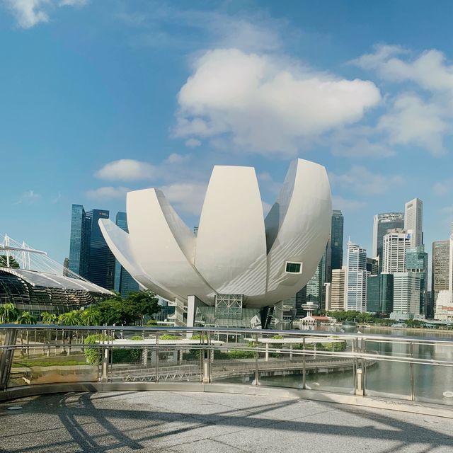 Marina Bay Sands (City Hall/ Esplanade MRT)