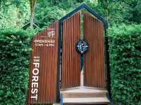 คาเฟ่ลับ ในป่า In to the forest