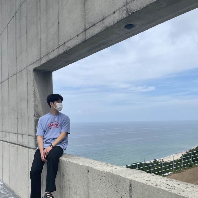강릉 하슬라아트월드 다녀왔어요🤍