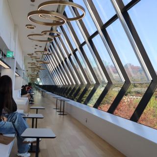คาเฟ่ที่มีวิวสวยๆ ที่สามารถมองเห็นธรรมชาติได้ในพริบตา🧁
