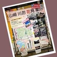 最浪漫既雨～山崎川四季の道櫻花雨