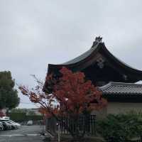 京都紅葉2022 天龍寺の紅葉