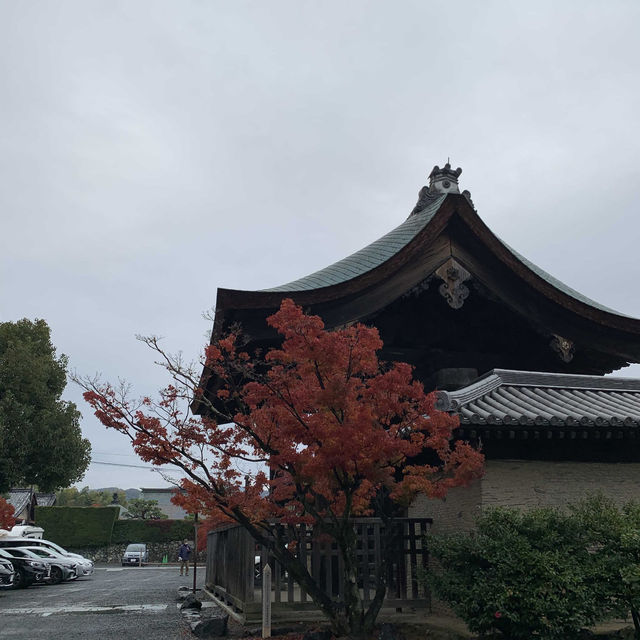 京都紅葉2022 天龍寺の紅葉