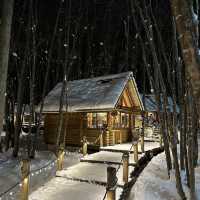 Winter Elf Forest