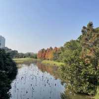  Hong Kong Wetland Park 