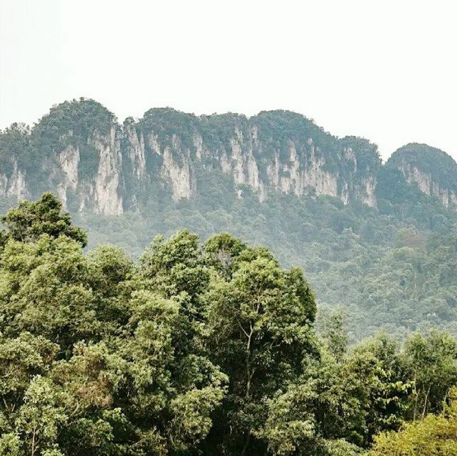 The Longest Quartz Ridge in the World