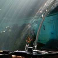 KORAL RESTAURANT - BALI