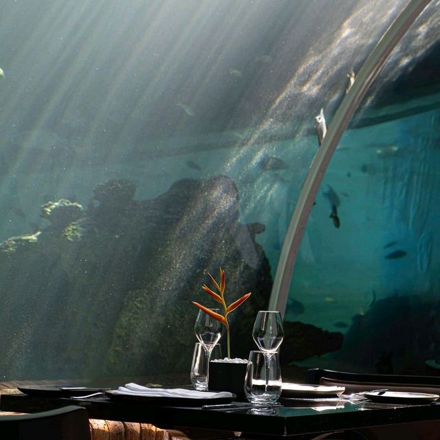 KORAL RESTAURANT - BALI