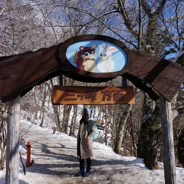 河口湖天上山公園❄️❄️